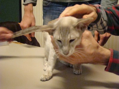 20121021_156 (Expo)